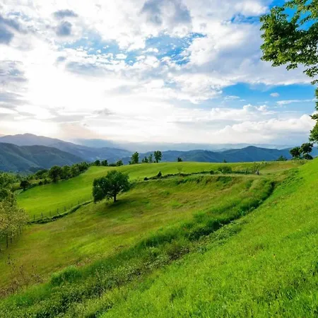 Ferienhaus Scenic Near Florence
