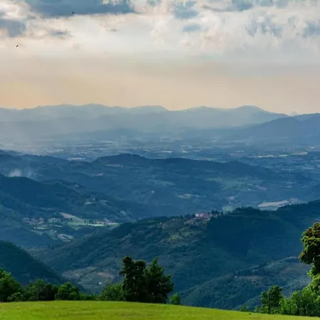 Scenic Near Florence